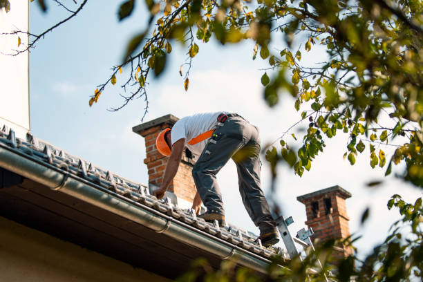 Best Storm Damage Roof Repair  in Fort Bliss, TX