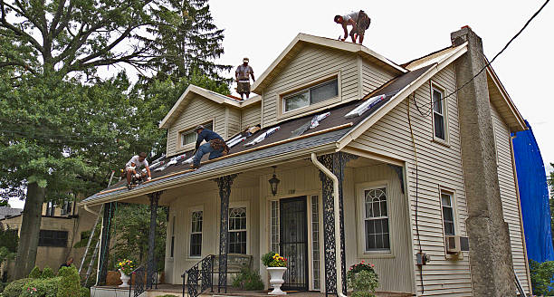 Best Roof Repair Services  in Fort Bliss, TX